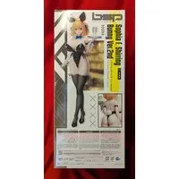 Figure - Bunny Suit Planning / Sophia F. Shirring