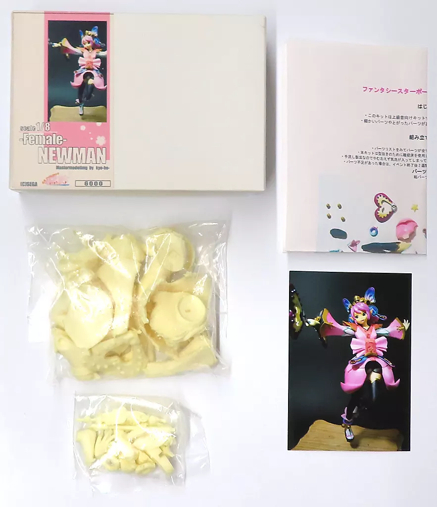 Figure - Garage Kit - Phantasy Star