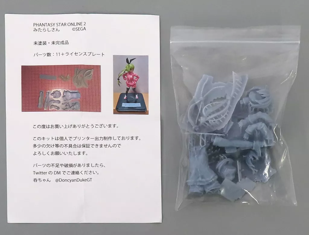 Garage Kit - Figure - Phantasy Star