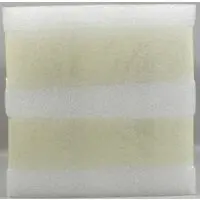 Prisma Wing - The Rising of the Shield Hero / Raphtalia