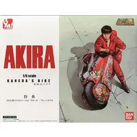 Figure - Akira / Kanada Bike
