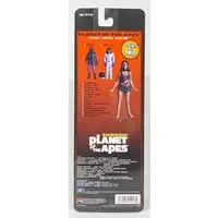 Figure - Planet of the Apes