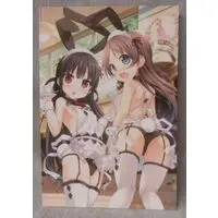 Figure - Maitetsu / Hachiroku