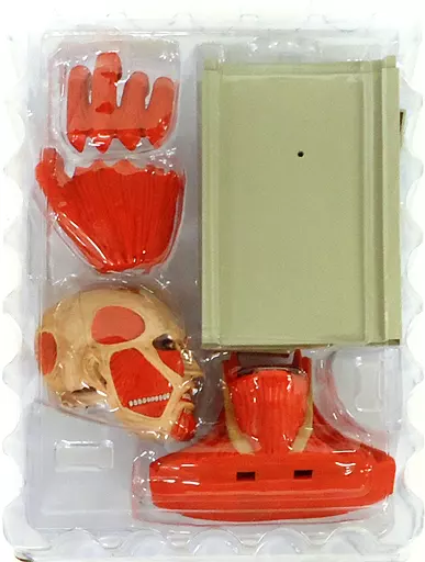 Figure - Shingeki no Kyojin (Attack on Titan) / Colossal Titan