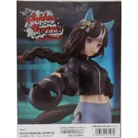 Figure - Prize Figure - Uma Musume: Pretty Derby / Hokko Tarumae