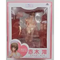 Akagi Mio and her Nurse Training Diary