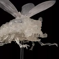 Figure - Nausicaä of the Valley of the Wind