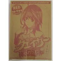 Figure - Seikon no Qwaser (The Qwaser of Stigmata)