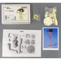 Garage Kit - Figure - The Melancholy of Haruhi Suzumiya / Suzumiya Haruhi