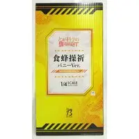 Figure - Toaru Kagaku no Railgun (A Certain Scientific Railgun) / Shokuhou Misaki