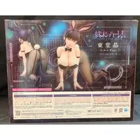 Figure - Shuumatsu no Harem (World's End Harem) / Toudou Akira