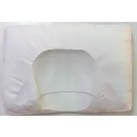 Binding Creator's Opinion - Sashou Mihiro - Bunny Costume Figure