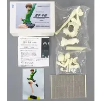 Garage Kit - Figure - Resin Cast Assembly Kit - Persona 4 / Satonaka Chie