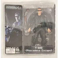 Figure - The Terminator
