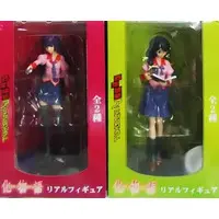 Figure - Prize Figure - Bakemonogatari / Senjougahara Hitagi & Hanekawa Tsubasa
