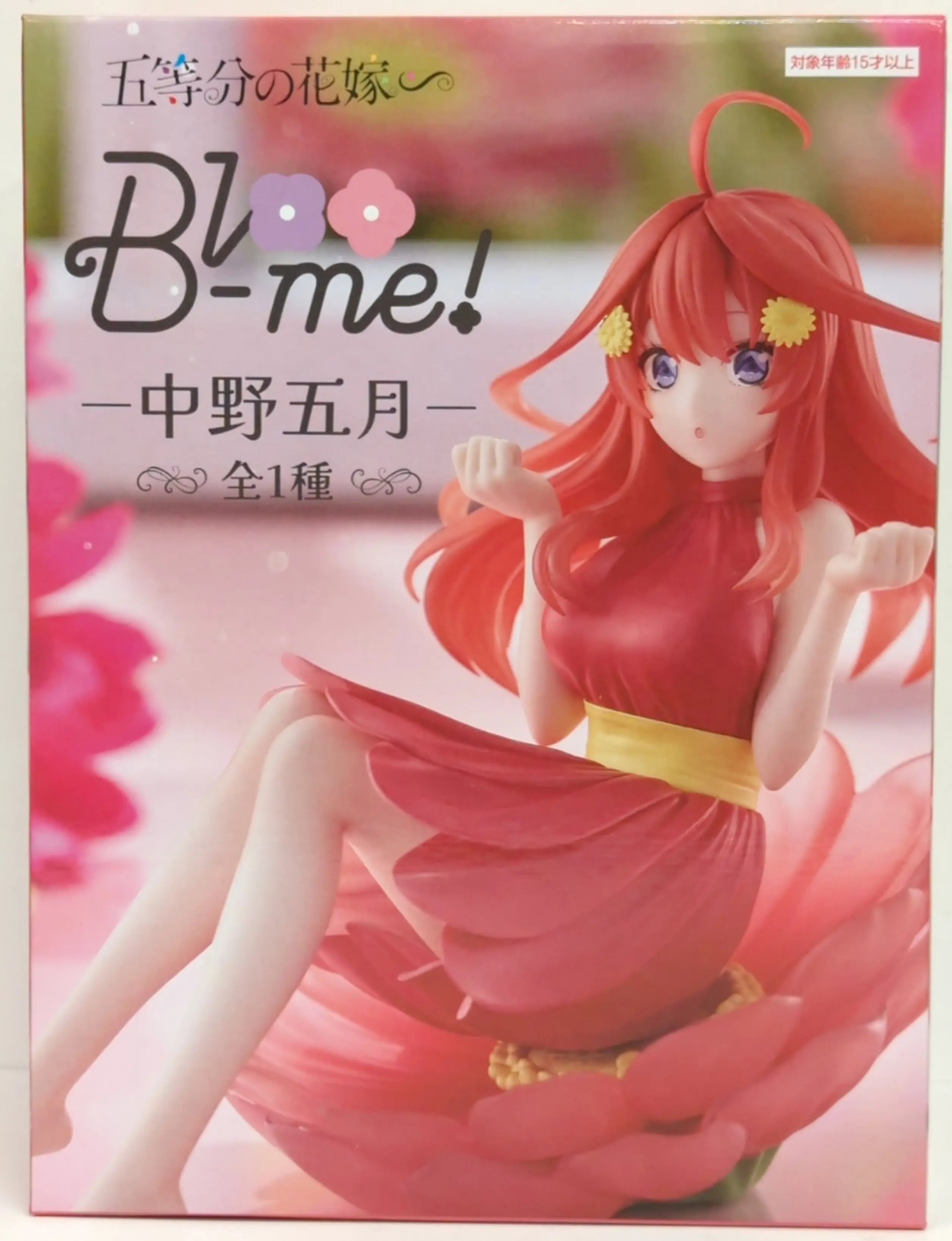 Figure - 5-toubun no Hanayome (The Quintessential Quintuplets) / Nakano Itsuki