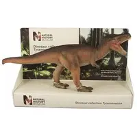 Figure - Natural History Museum