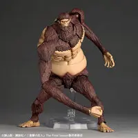 Revoltech - Shingeki no Kyojin (Attack on Titan)