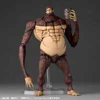 Revoltech - Shingeki no Kyojin (Attack on Titan)