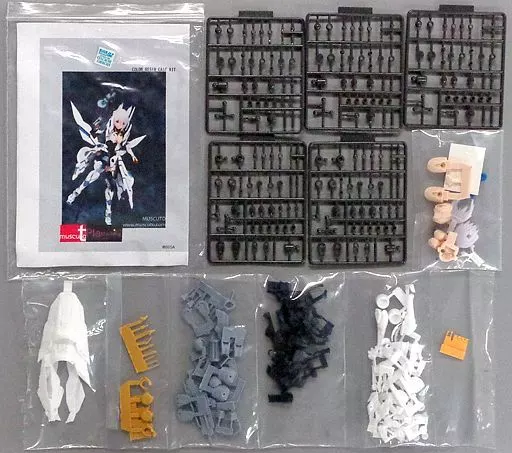 Garage Kit - Figure - Resin Cast Assembly Kit - Phantasy Star