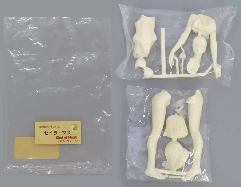 Garage Kit - Figure - Mobile Suit Gundam / Sayla Mass