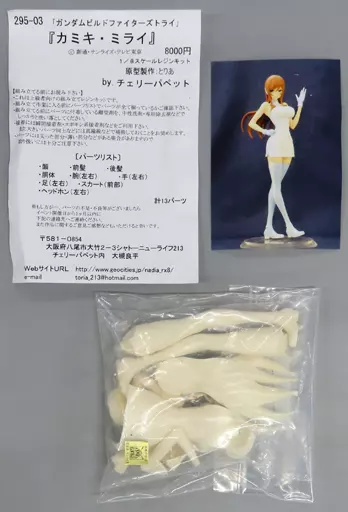 Garage Kit - Figure - Resin Cast Assembly Kit - Gundam Build Fighters