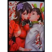 Figure - Queen's Blade