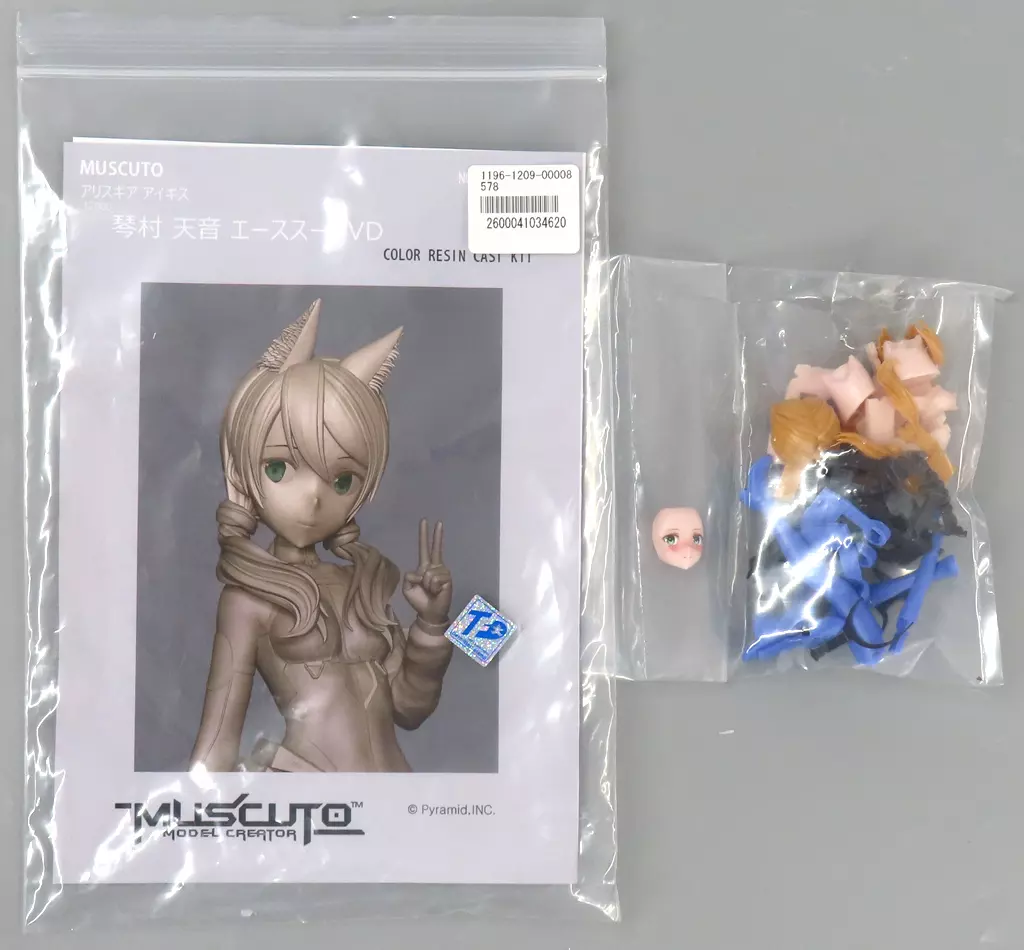 Garage Kit - Figure - Resin Cast Assembly Kit - Alice Gear Aegis