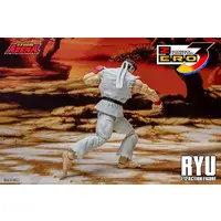 Figure - Street Fighter / Ryu