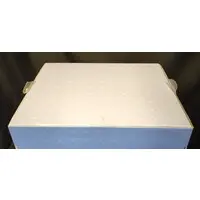 Figure - Chie - Ishikei