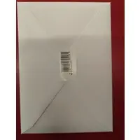 Figure - Ulrich - Bunny Costume Figure