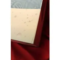 Figure - Mataro Original Character