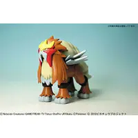 Plastic model - Pokémon