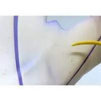 Figure - Yuuki Yuuna wa Yuusha de Aru (Yuki Yuna is a Hero) / Nogi Sonoko