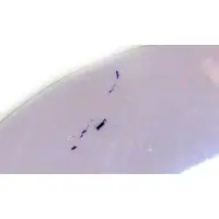 Figure - Yuuki Yuuna wa Yuusha de Aru (Yuki Yuna is a Hero) / Nogi Sonoko