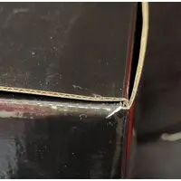 Figure - Jojo Part 7: Steel Ball Run