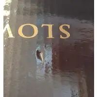 Figure - Jojo Part 7: Steel Ball Run