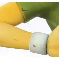 P.O.P (Portrait.Of.Pirates) - One Piece / Usopp & Tony Tony Chopper