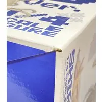 Figure - No Game, No Life / Shiro