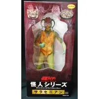Figure - Kamen Rider Series