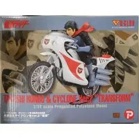 Figure - Kamen Rider Series