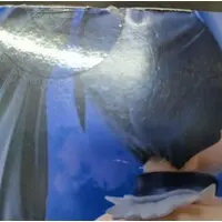 Figure - Choujigen Game Neptune (Hyperdimension Neptunia) / Black Heart