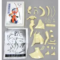 Garage Kit - Figure - Samurai Spirits / Majikina Mina