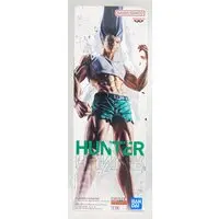 FigLife! - Hunter x Hunter / Gon Freecss