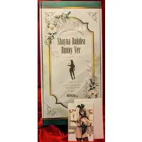 Figure - Bunny Costume Figure