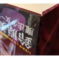 Figure - Mahou Shoujo (Raita) / Misanee (Suzuhara Misae)