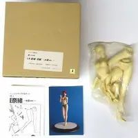 Garage Kit - Figure - Resin Cast Assembly Kit - My-Hime