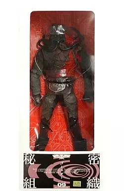 Real Action Heroes - Kamen Rider Series