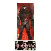 Real Action Heroes - Kamen Rider Series