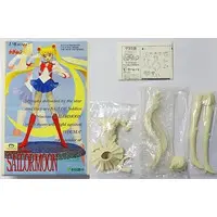 Figure - Garage Kit - Bishoujo Senshi Sailor Moon